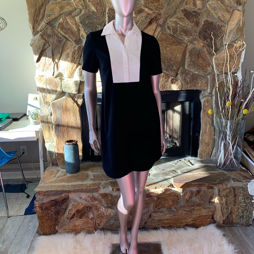 Ann Taylor dress